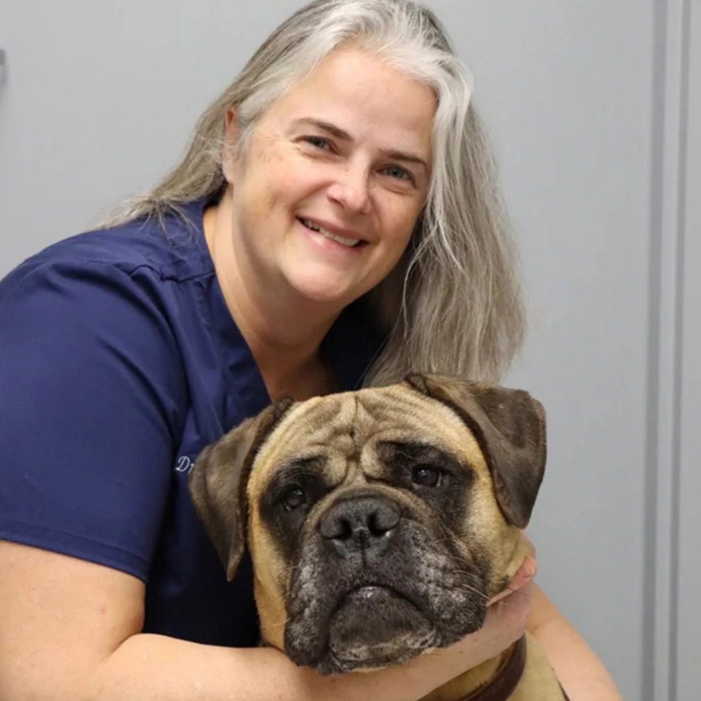 smiling female veterinarian holding dog