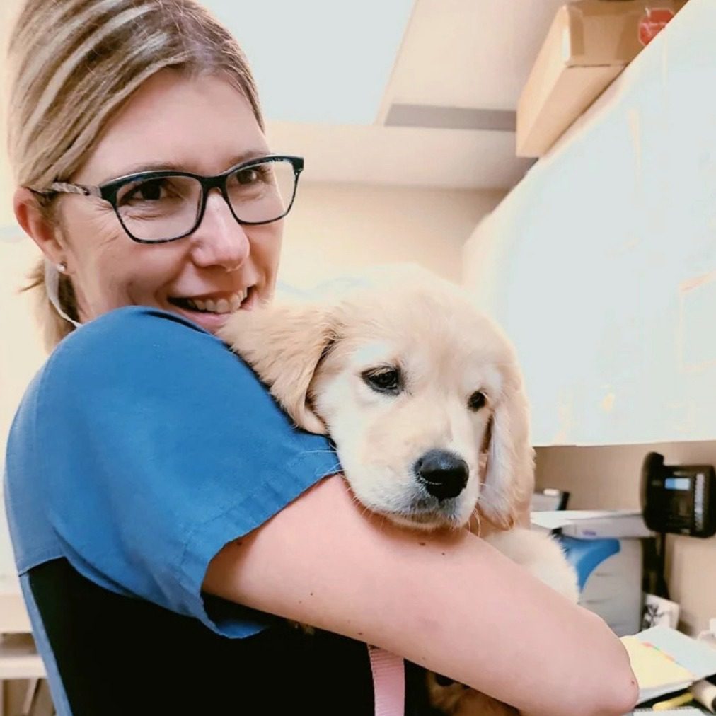 smiling female veterinarian holding cute puppy