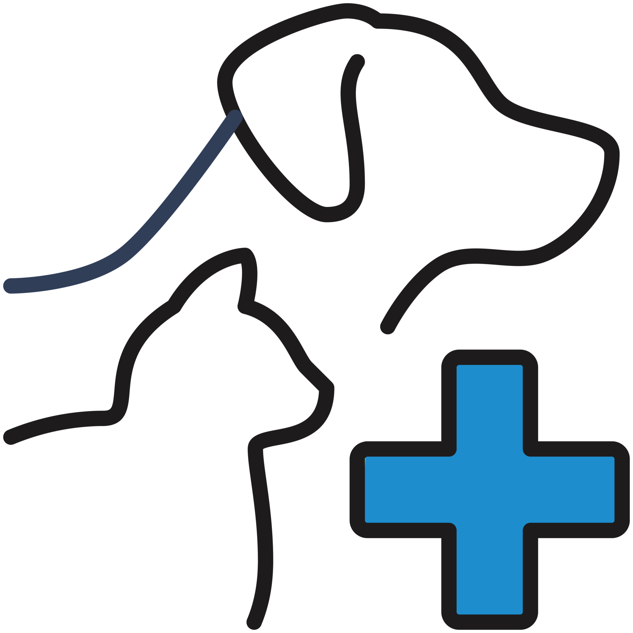 Pet Care Icon