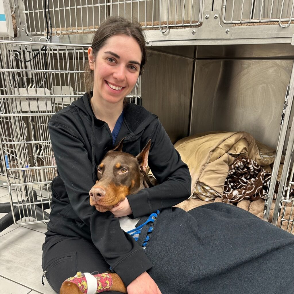 smiling female veterinary technician holding sick dog