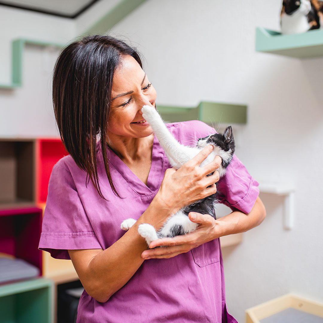female veterinarian smiling while playing with kitten