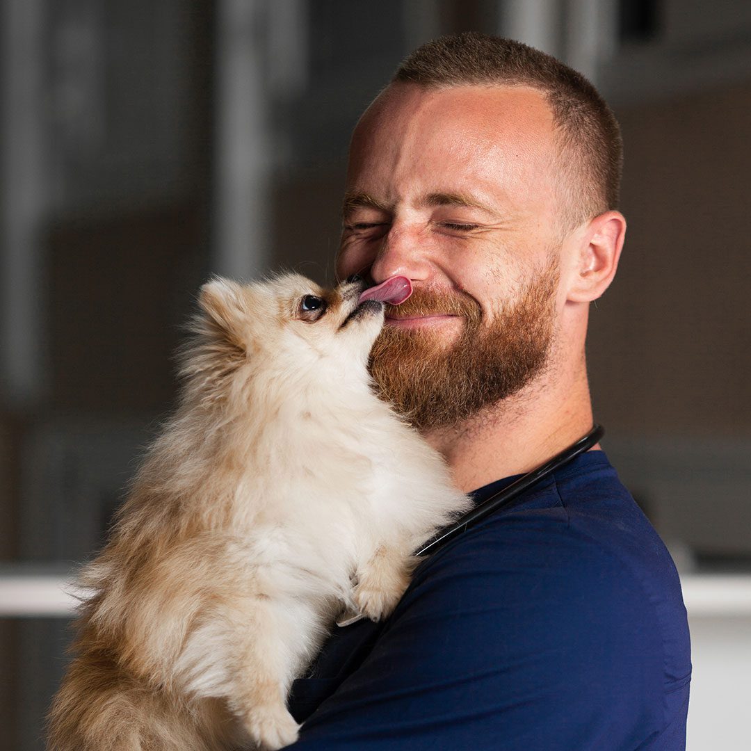 male veterinarian smiling while holding small fluffy dog that's licking his nose